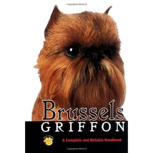 Brussels Griffon (Rare Breed)