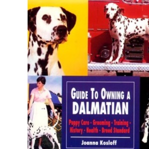 Guide to Owning a Dalmatian (Re Dog)