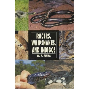Racers, Whipsnakes and Indigos (Herpetology series)