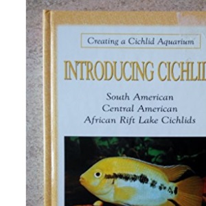 Introducing Cichlids (Creating a cichlid aquarium)