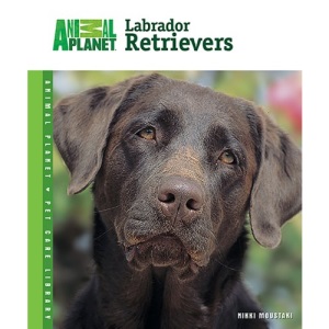 Labrador Retrievers (Animal Planet Pet Care Library)