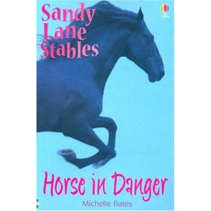 Horse in Danger (Sandy Lane Stables)