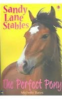 The Perfect Pony (Sandy Lane Stables)