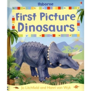 First Picture Dinosaurs (First Picture Board Books)