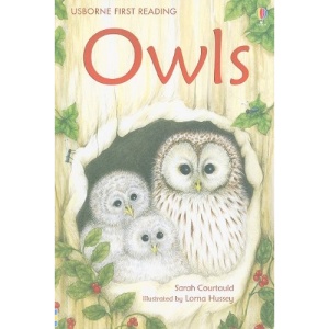 Owls (Usborne First Reading: Level 4)