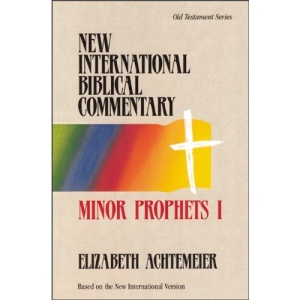 Minor Prophets I (New International Biblical Commentary: Old Testament)