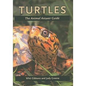 Turtles: The Animal Answer Guide (The Animal Answer Guides: Q&A for the Curious Naturalist)