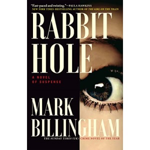 Rabbit Hole: A Novel