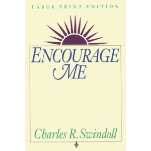 Encourage Me (Walker Large Print Books)