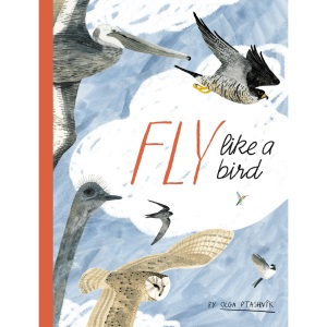 Fly Like a Bird (Spectacular Steam for Curious Readers (Sscr))