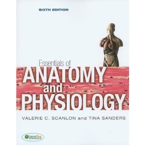 Essentials of Anatomy and Physiology