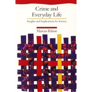 Crime and Everyday Life: Issues and Insights for Society (Issues & insights for society)