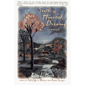 South of Haunted Dreams: A Ride Through Slavery's Old Backyard