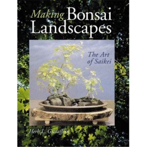 Making Bonsai Landscapes