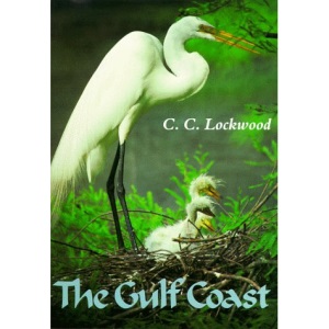 The Gulf Coast: Where Land Meets Sea