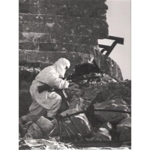 Red Army Resurgent (World War II)