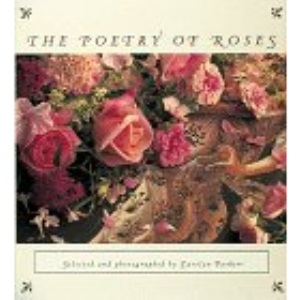 The Poetry of Roses