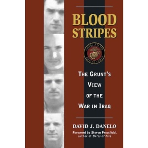 Blood Stripes: The Grunt's View of the War in Iraq