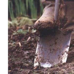 Techniques & Tips for Gardeners