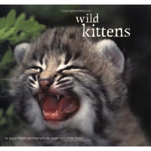 Wild Kittens