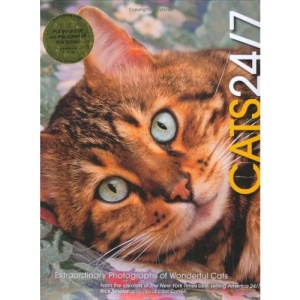 Cats 24/7