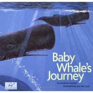 Baby Whale's Journey