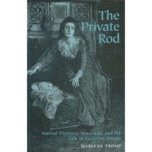 The Private Rod: Marital Violence, Sensation and the Law in Victorian Britain (Victorian Literature & Culture)
