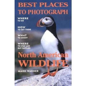 Best Places to Photograph North American Wildlife