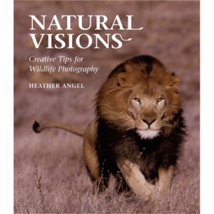 Natural Visions: Creative Tips for Wildlife Photography