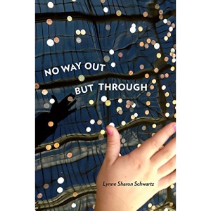 No Way Out but Through (Pitt Poetry Series)