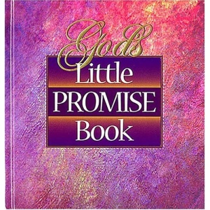 God's Little Promise Book (Moments for your life)