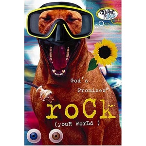 God's Promises Rock Your World