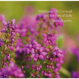 Wildflowers of Cornwall and the Isles of Scilly (Pocket Cornwall)