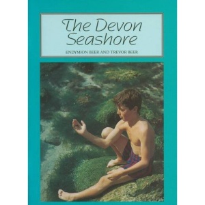 The Devon Seashore