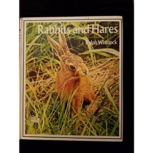 Rabbits and Hares (Young naturalist books)