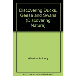 Discovering Ducks, Geese and Swans (Discovering Nature)