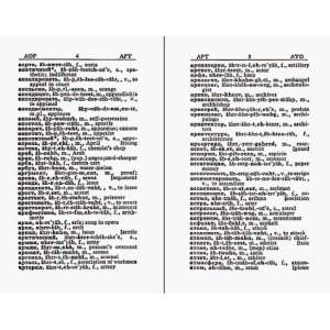 Russian Dictionary