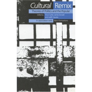 Cultural Remix: Theories of Politics and the Popular