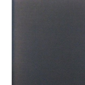 Winged Dagger: Adventures on Special Service (Special Forces Library)