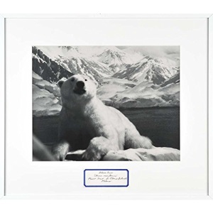 Mark Dion: Theatre of the Natural World