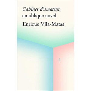 Cabinet d'amateur, an oblique novel: Enrique Vila-Matas (La Caixa Collection / Coleccion la Caixa)