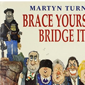 Brace Yourself, Bridge It! :  Guide to Irish Political Relationships