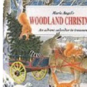 Woodland Christmas: an Advent Calendar to Treasure