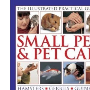 The Illustrated Practical Guide to Small Pets & Pet Care: Hamsters, Gerbils, Guinea Pigs, Rabbits, Birds, Reptiles, Fish