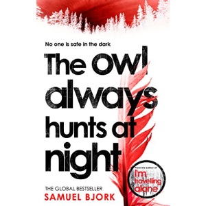 The Owl Always Hunts at Night: (Munch and Krüger Book 2)
