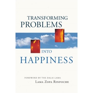 Transforming Problems into Happiness