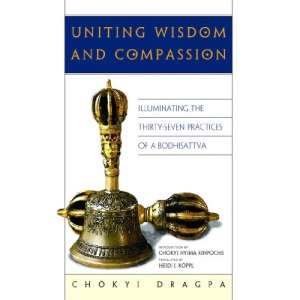 Uniting Wisdom and Compassion: Illuminating the Thirty Seven Practices of a Bodhisattva