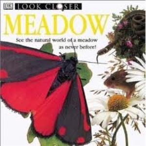 Meadow (Look Closer)