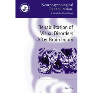 Rehabilitation of Visual Disorders After Brain Injury (Neuropsychological Rehabilitation: A Modular Handbook)
