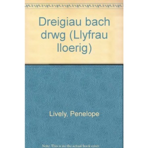 Llyfrau Lloerig: Dreigiau Bach Drwg